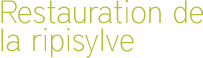 amenagement repisylve titre