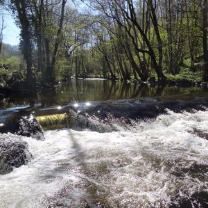 lavoir avt redim300