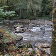 lavoir trx redim115