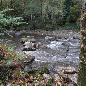 lavoir trx redim300