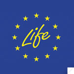 life bouton